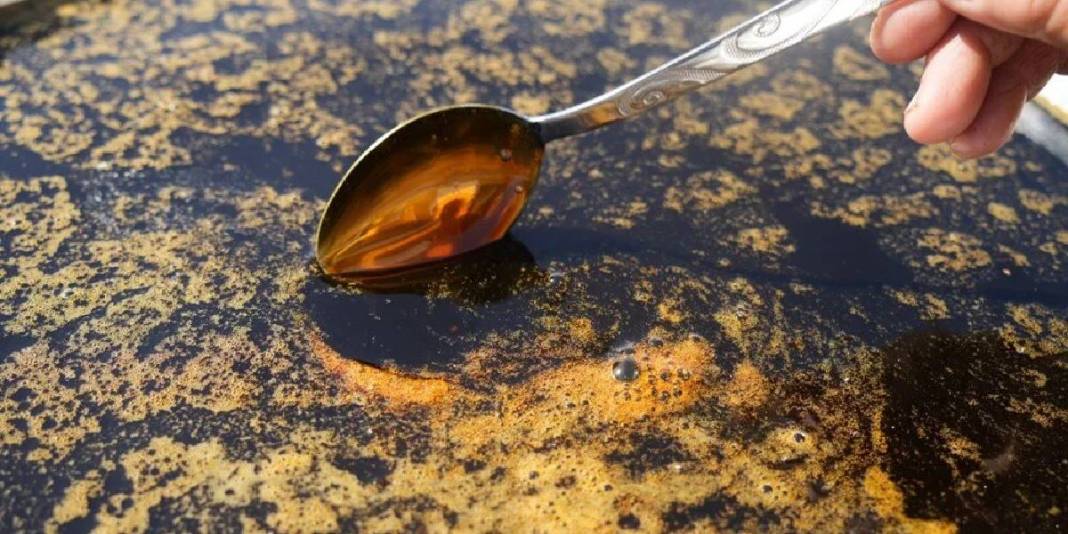 Bağlardan toplanıp, imece usulü sıkılıyor! Kazan kazan kaynıyor, litresi 500 liraya satılıyor 2